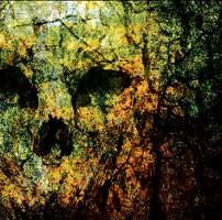 Colossus Fall : Sempervirens